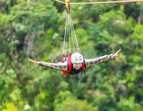Zipliner Zipliner
