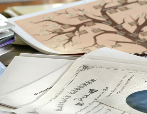 Family Tree Family Tree