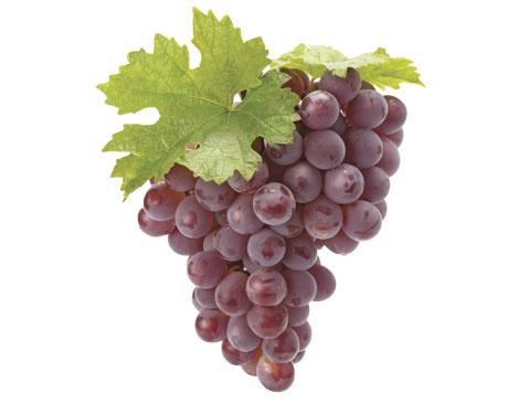 Grapes