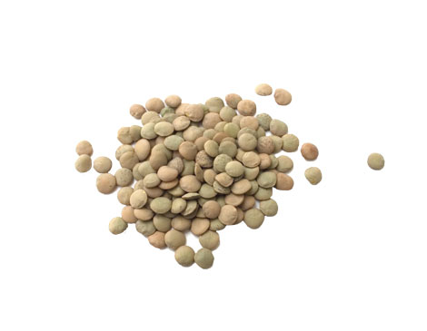 Lentils