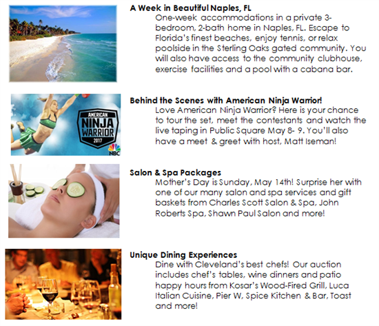 Auction Page for Website Auction Page for Website